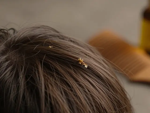 Co způsobuje lamavost vlasů? Příčiny a jak jim pomoci