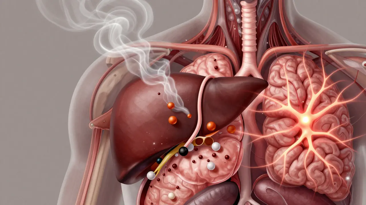 Vnitřní znázornění jater a mozku při zpracování alkoholu, s toxiny v krvi a narušenými neuronovými spojeními.