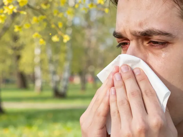 Kdy užívat Zodac? Nejlepší čas pro užití léku na alergii